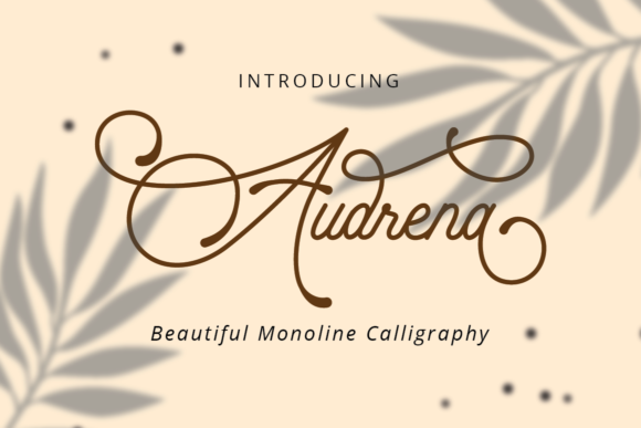 Audrena Typeface: Elegant Script for Branding