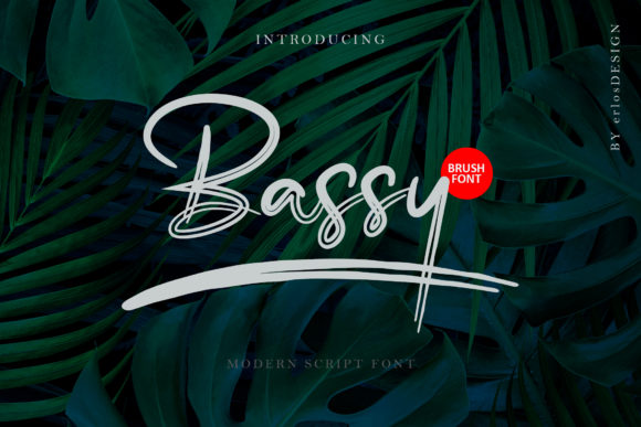 Bassy Font Review: Elevating Digital Branding