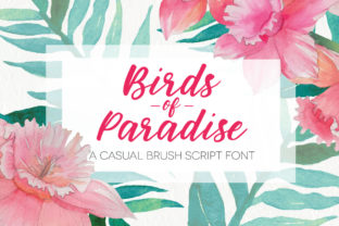 Birds of Paradies: A Handwritten Font for Editorial Charm